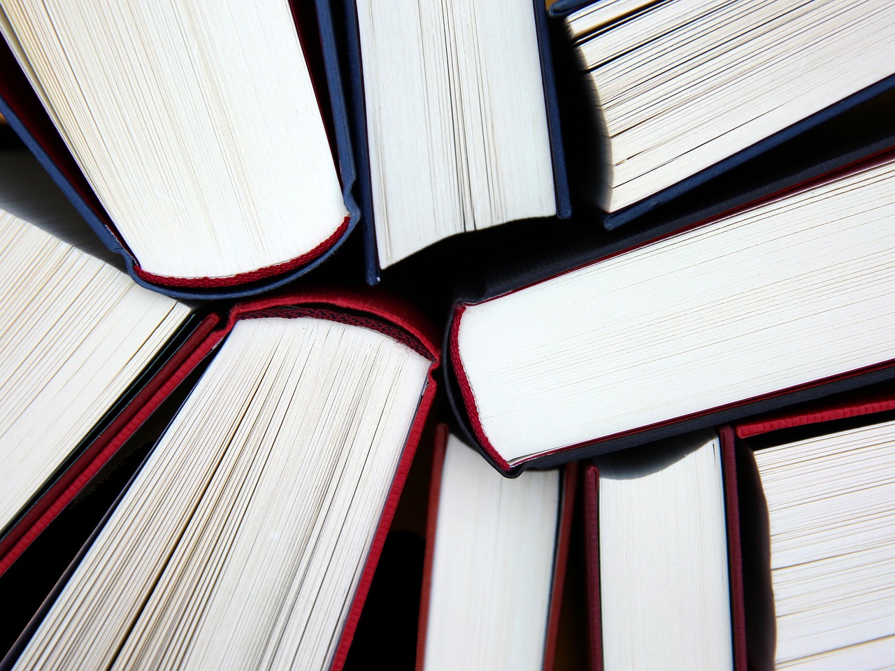 books, education, school, literature, knowledge, reading, library, paper, study, page, read, text, learn, textbook, research, books, books, books, books, education, education, education, school, school, school, school, school, knowledge, reading, reading, library, library, library, study, study, study, study, research, research, research, research